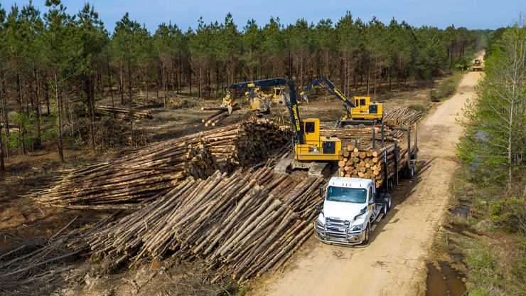 picture of a logging truck being loaded up with logs