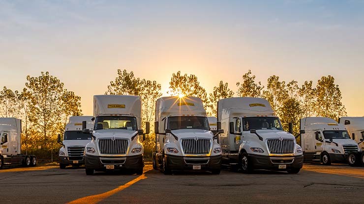 Fleet of Semi-Trucks Parked at Sunset A fleet of white semi-trucks parked in a lot at sunset, with trees in the background and the sun shining through the trucks.
