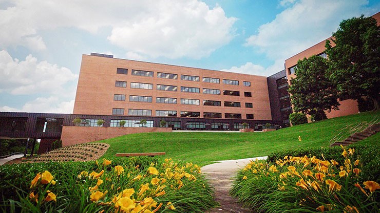Corporate Office Building C with flowers in the foreground